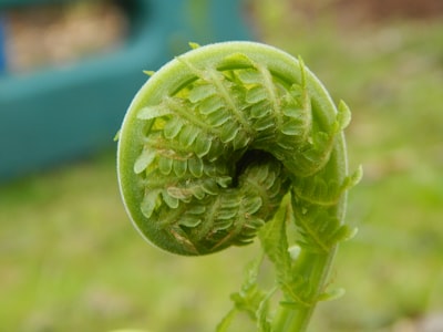 unfolding — разворачиваясь