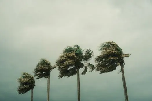 gale-force — Штормовой ветер