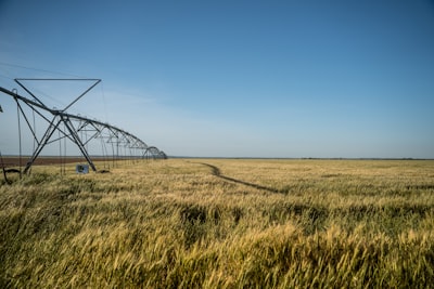 Pivot — ось