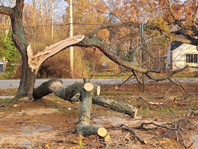 Struck — ударил