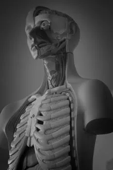 Cadaver — Труп