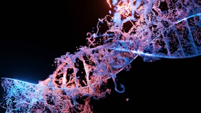 Genetics — генетика