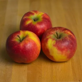 Magst du Obst? — ты любишь фрукты?