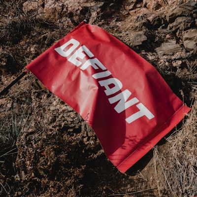 defiant — непокорный
