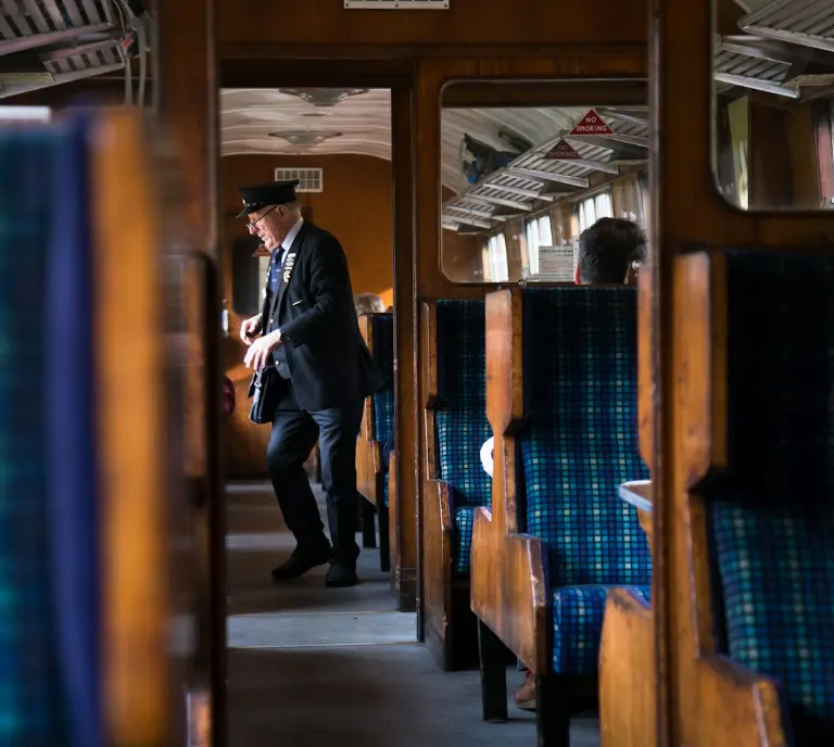 ticket inspector — контролёр