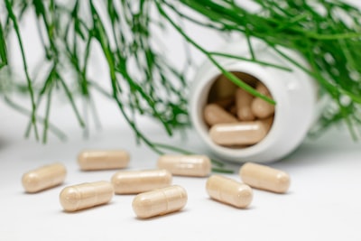 Supplement — добавка