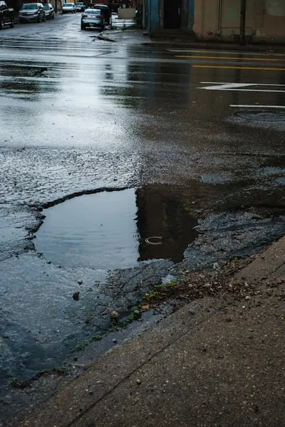 puddle — лужа