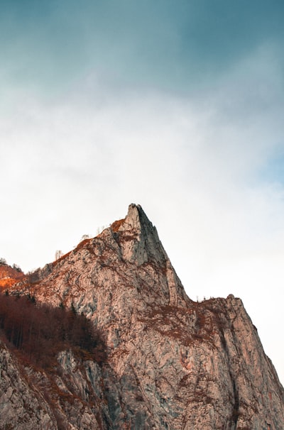 Impose — вводить