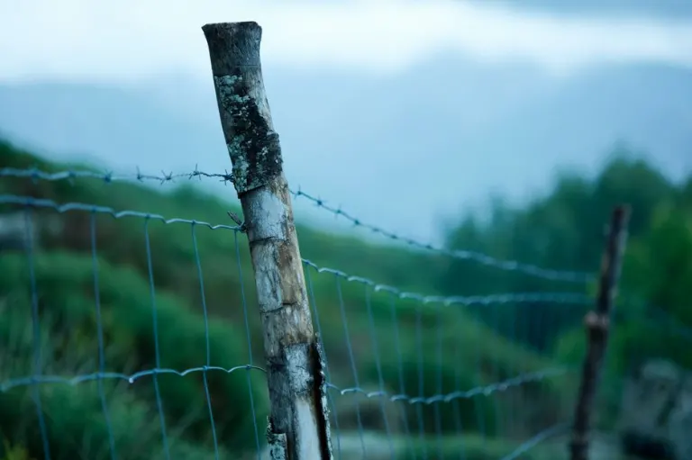 çitin — забор