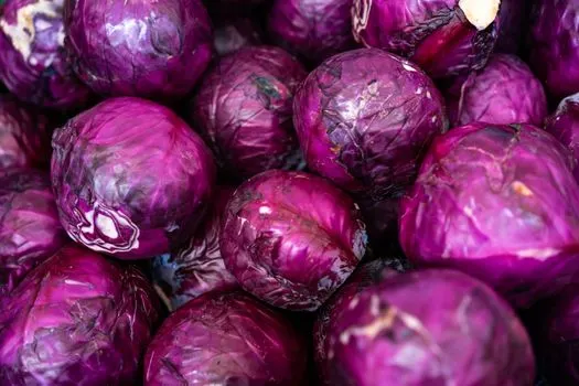 tomates — Помидоры