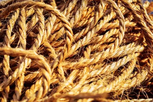 Plait — Коса