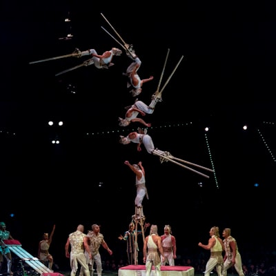 acrobatic — акробатический