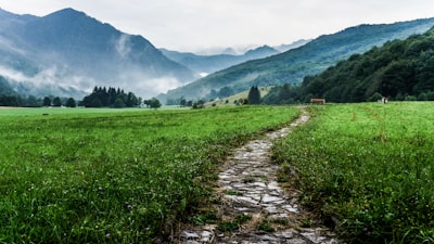 pathway — путь