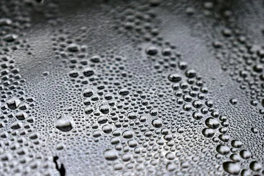 Morning dew — утренняя роса