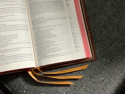 Translation of the text — перевод текста