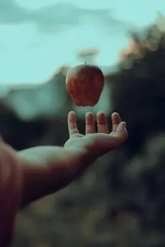 opa — опа