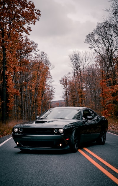 Dodge — уворачиваться