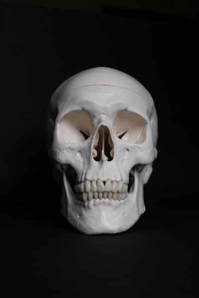 skull — череп