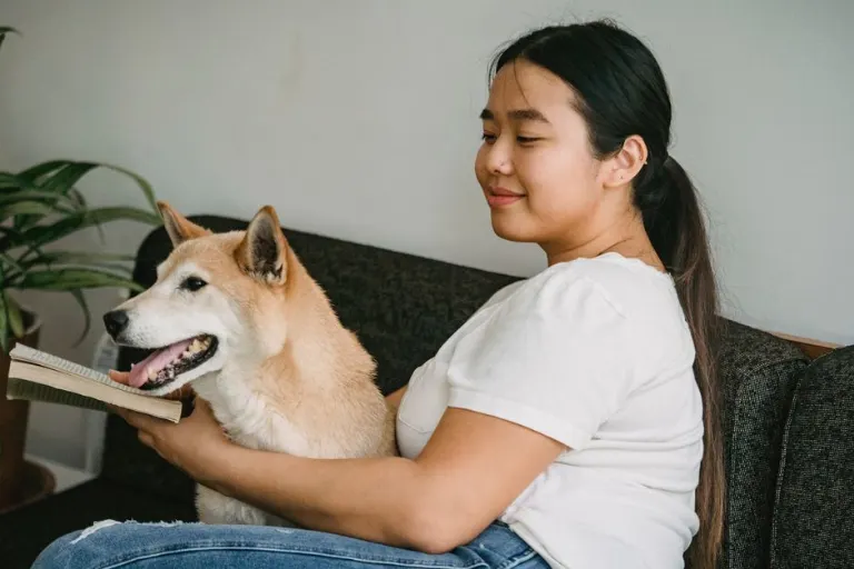 have pets — иметь