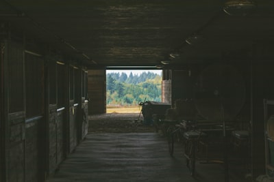 stable — стабильный