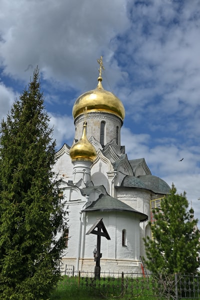 Savvy — смекалистый