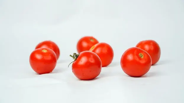 Tomate — помидор