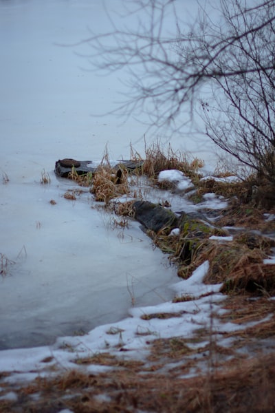 drove my car into a lake — загнал машину в озеро