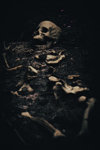 Trick — трюк