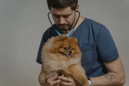 veterinar — ветеринар