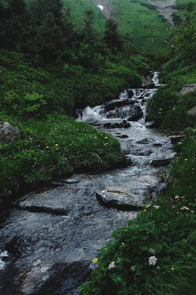 stream — ручей