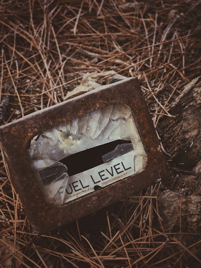 Level-headed — здравомыслящий