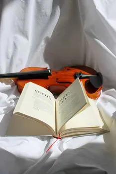 Fiddle — Скрипка