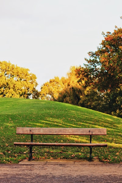park bench — парковая скамейка