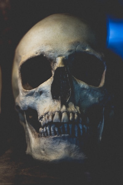 remains — останки