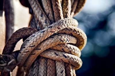 whipping — порка