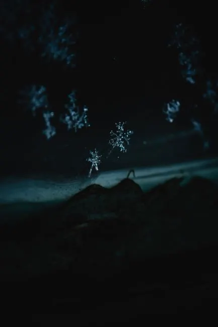 Pahuljica — снежинка