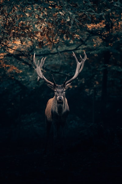 espectacular — эффектный
